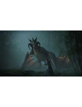 Hogwarts Legacy Deluxe Edition (NO RUS/BEL)