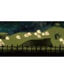 PIGROMANCE