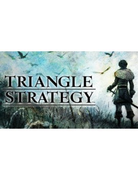 TRIANGLE STRATEGY
