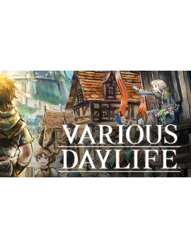 Various Daylife