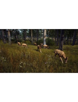 Way of the Hunter