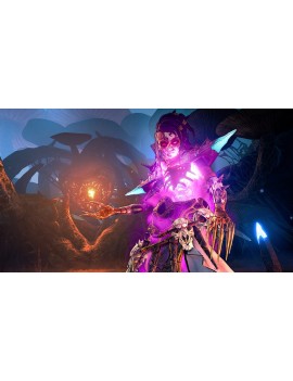 Tiny Tina's Wonderlands: Chaotic Great Edition (Steam)