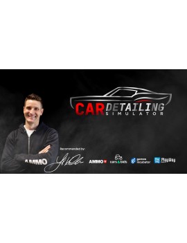 Car Detailing Simulator