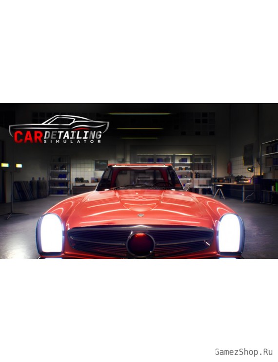 Car Detailing Simulator