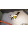 Animal Shelter