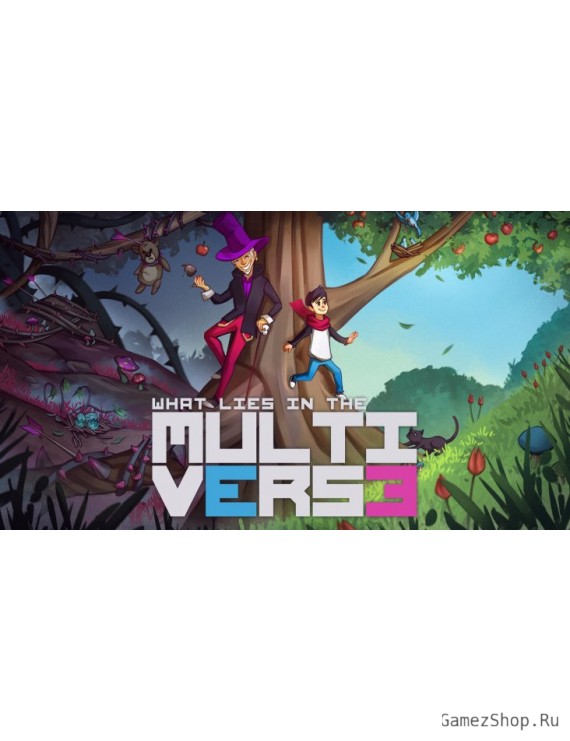 What Lies in the Multiverse