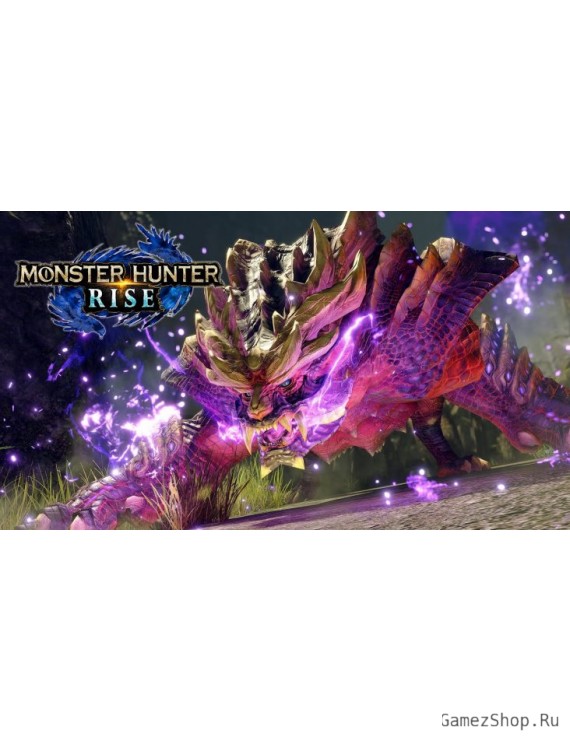 MONSTER HUNTER RISE