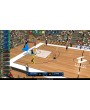 Pro Basketball Manager 2022