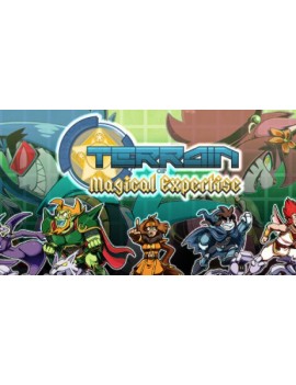 Terrain of Magical Expertise