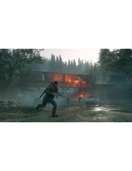 Days Gone