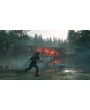 Days Gone